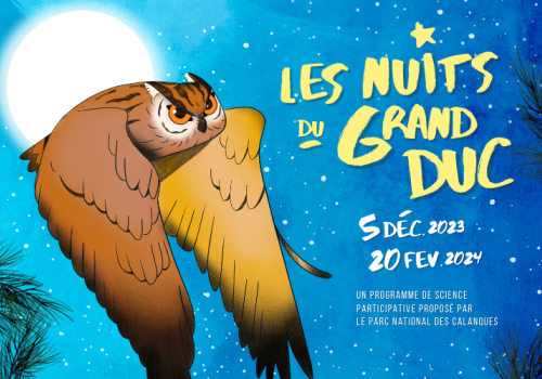 Visuels Nuits du Grand-duc