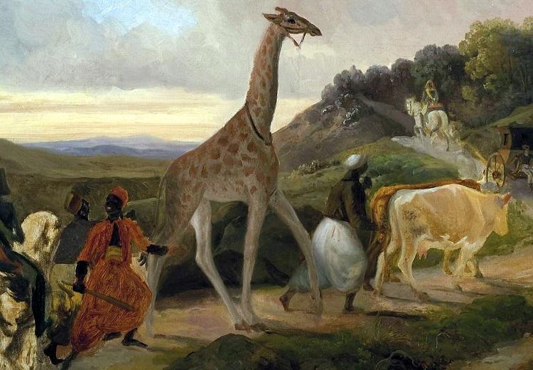 le_passage_de_la_girafe_a_arnay-le-duc_j-r_brascassat1827_musee_ba_beaune.jpg