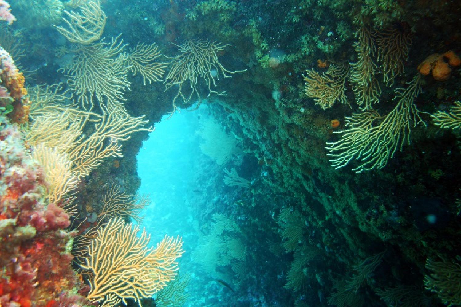 grotte-sous-marine-calanques-marseille-cassis-la-ciotat.jpg